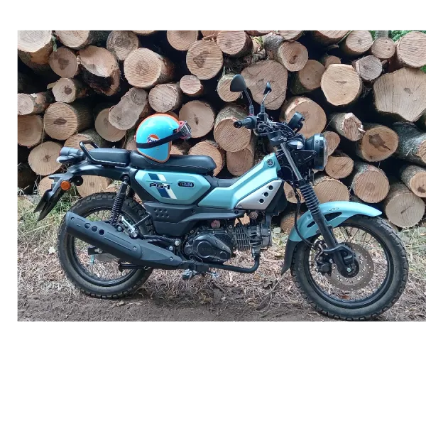 Gordon And His Pg1 On An Adventure Through The Woods, Brilliant Day Out