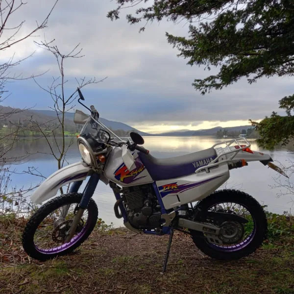 Mr Whites Ttr Raid, Excellent Photo!