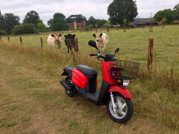 Mr Perkins Yamaha Gear, we had lots of interest from cows for our other Gears after this photo! Great for getting around the farm