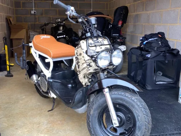 Dave's Zoomer....one word....awesome!