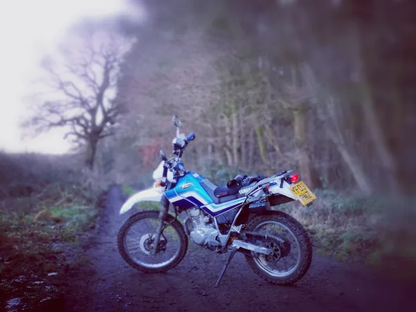 Andy's Serow in the Flatlands of Lincolnshire during Christmas week