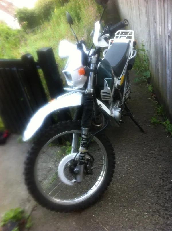 David's Serow - happy in the undergrowth