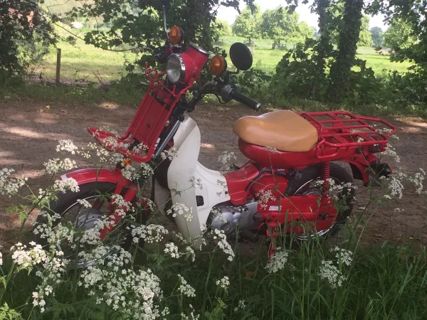 John's T90 is a suitably bucolic setting
