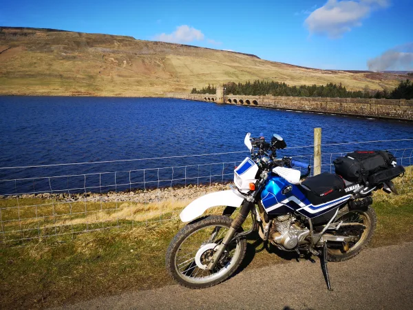 Andy's Serow in a beautiful location
