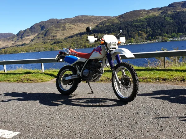 Allan's other XLR250 Baja enjoying the view too