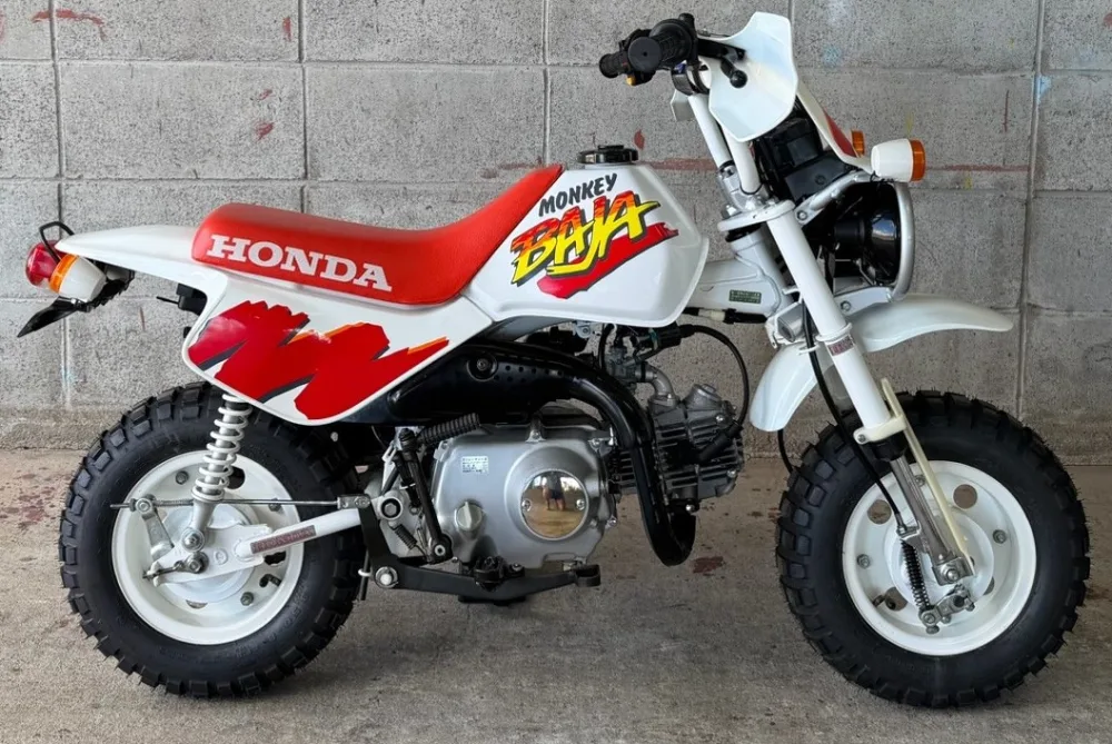 Monkey Baja 50