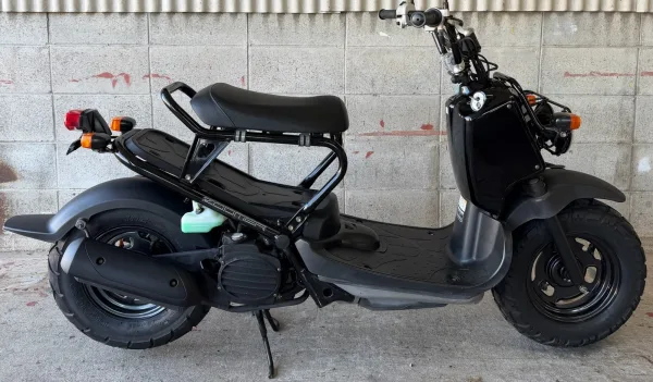 2008 Honda Zoomer